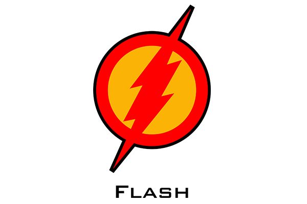 Flash Logo Vector